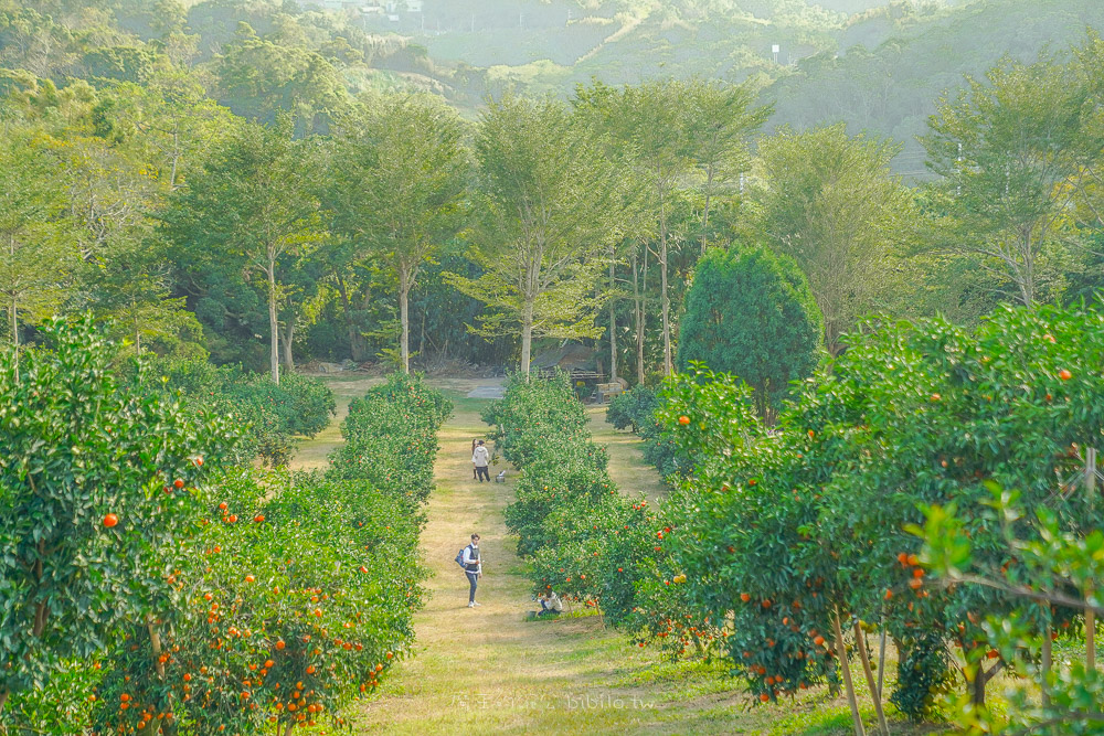 桔滿緣休閒農場X魔王 新竹旅遊景點推薦 不限時間橘子吃到飽 新竹旅遊景點 @魔王的碗公