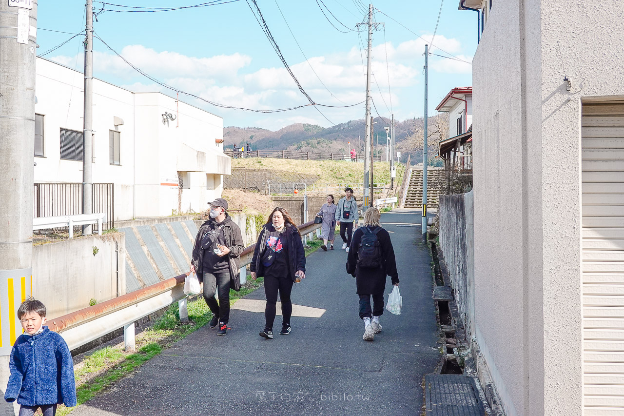 日本岩手 北上展勝地公園 花期長達一個月的櫻花絕景 新幹線就可以到的賞櫻景點 @魔王的碗公