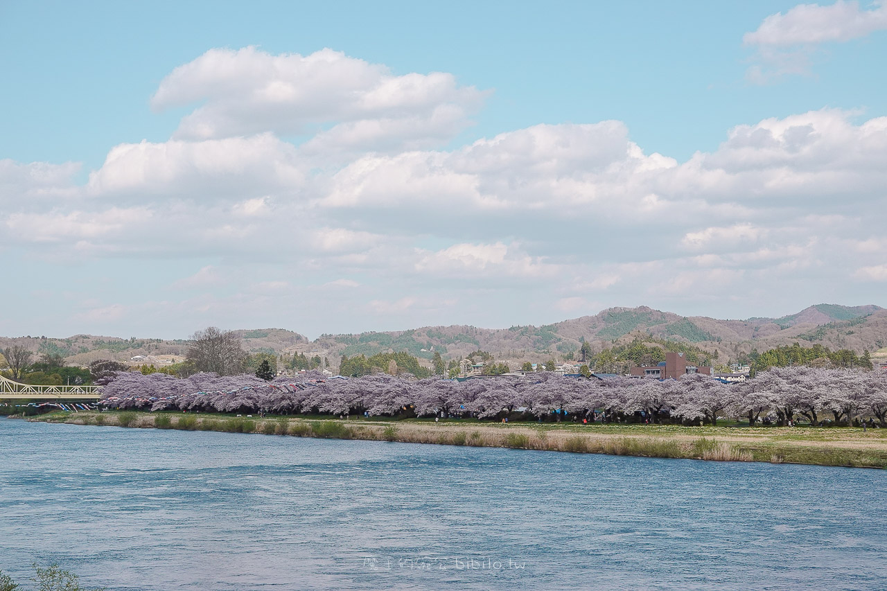 日本岩手 北上展勝地公園 花期長達一個月的櫻花絕景 新幹線就可以到的賞櫻景點 @魔王的碗公