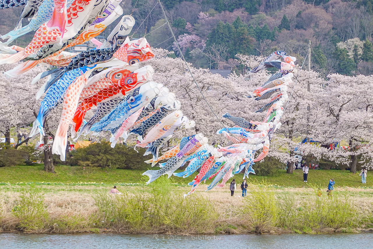 日本岩手 北上展勝地公園 花期長達一個月的櫻花絕景 新幹線就可以到的賞櫻景點 @魔王的碗公