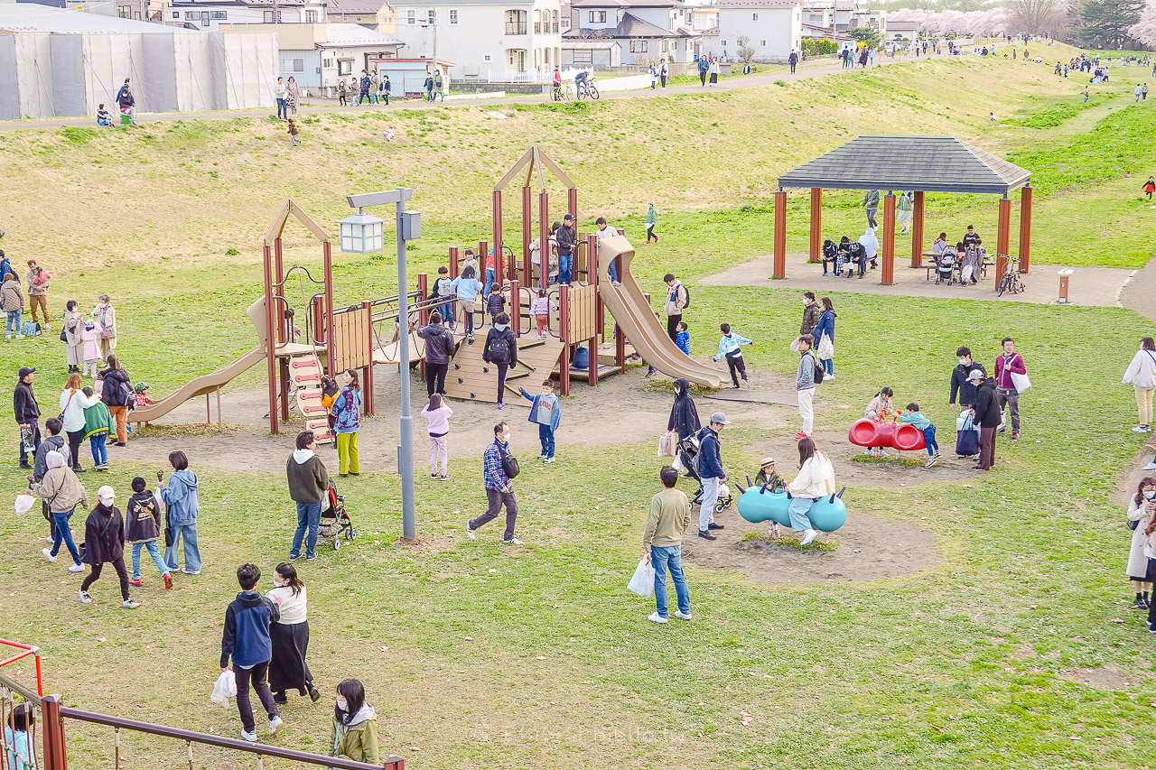 日本岩手 北上展勝地公園 花期長達一個月的櫻花絕景 新幹線就可以到的賞櫻景點 @魔王的碗公