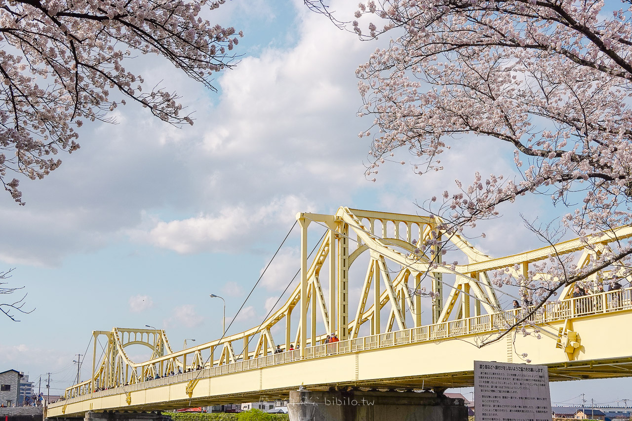 日本岩手 北上展勝地公園 花期長達一個月的櫻花絕景 新幹線就可以到的賞櫻景點 @魔王的碗公