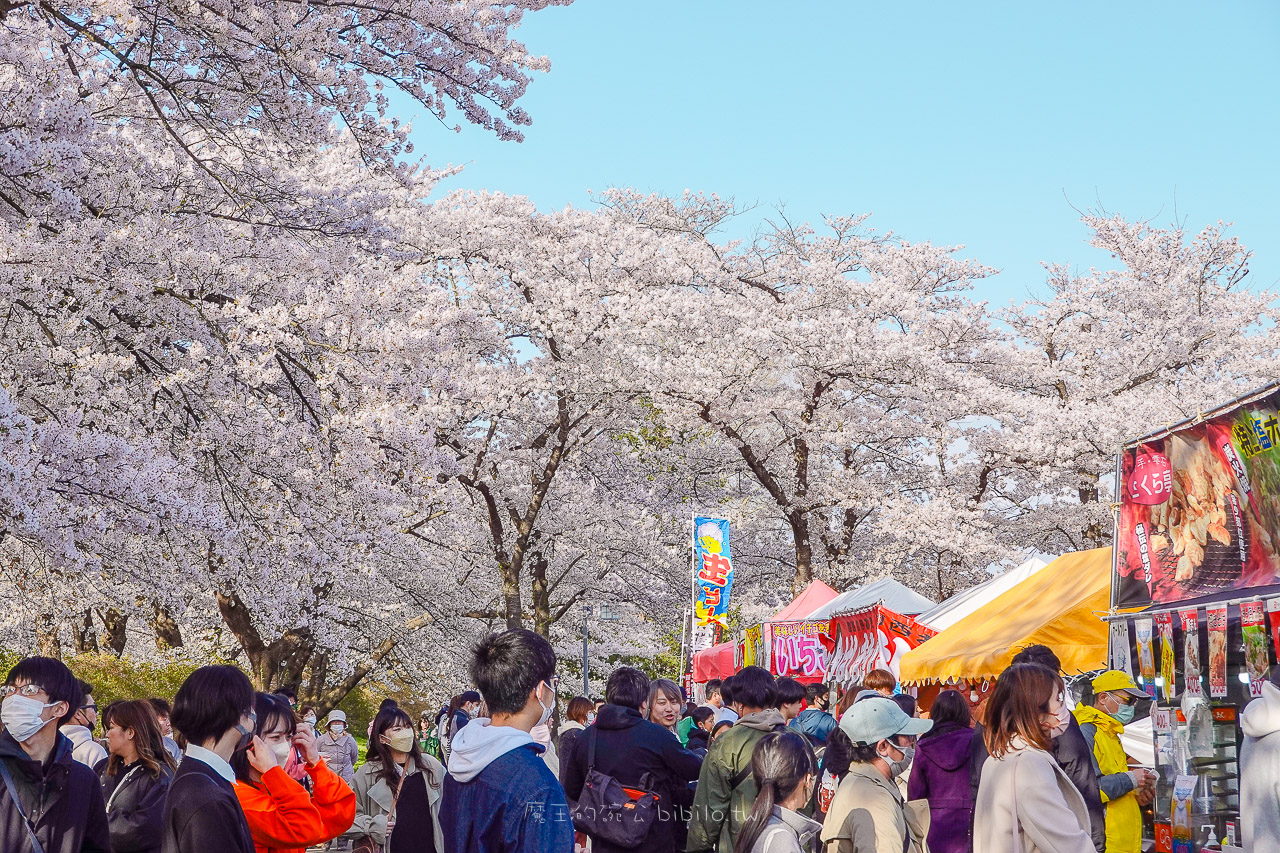 日本岩手 北上展勝地公園 花期長達一個月的櫻花絕景 新幹線就可以到的賞櫻景點 @魔王的碗公