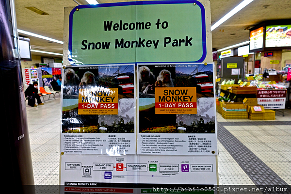 日本長野上集  原來真的有雪猴泡溫泉的畫面存在 隱身在深山裡 地獄谷猿猴公苑 冬季限定不夠冷還看不到的世界奇景『文末有詳細交通方式』 @魔王的碗公