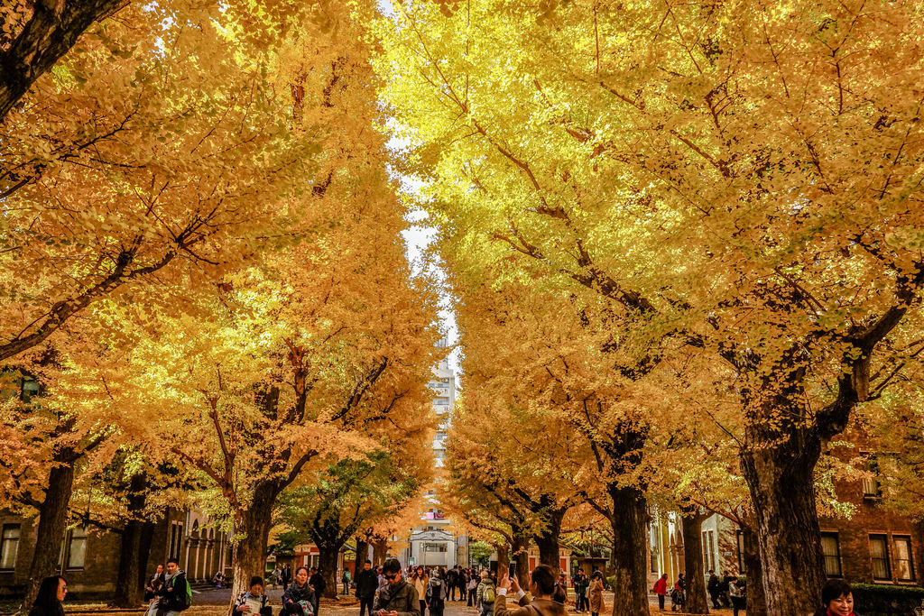 『2015東京旅遊』日本東京 旅遊來到第三天 我依舊在市區逛 上野公園小飄雨 銀座 六本木之丘 六本木東京新城 在時尚之地 整個好假掰『文末有詳細交通資訊』 @魔王的碗公